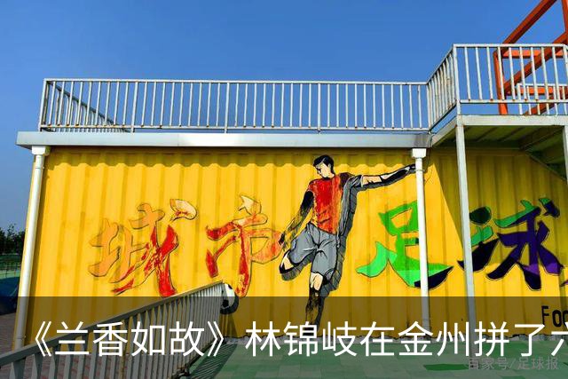 《兰香如故》林锦岐在金州拼了六年命，回金陵亲妈第一句是“幸亏赵老太爷”，他全程黑脸真不是脾气差，换你你笑得出来吗？