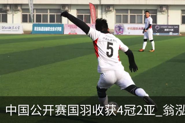 中国公开赛国羽收获4冠2亚 翁泓阳李罗组合首夺冠