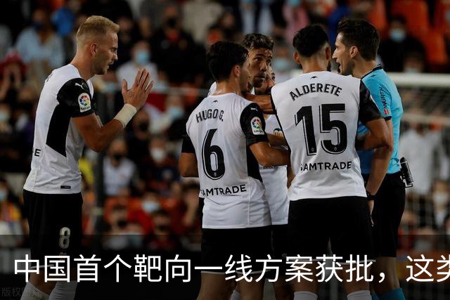 中国首个靶向一线方案获批，这类外周T细胞淋巴瘤迎新选择