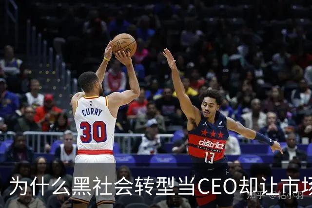 为什么黑社会转型当CEO却让市场更乱了