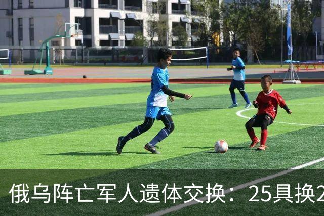 俄乌阵亡军人遗体交换：25具换252具，这次交换比是1：10