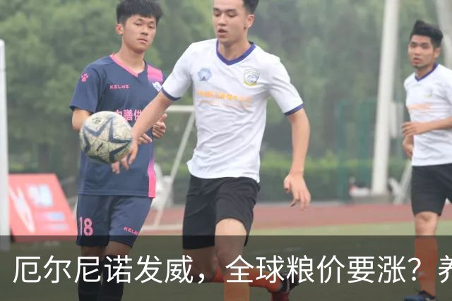 厄尔尼诺发威，全球粮价要涨？养殖端已经开始算帐了，大家还是多存钱吧