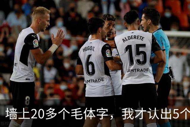 墙上20多个毛体字，我才认出5个！能全认出来的，读书是真下功夫了。学草书应该反复练一本帖，还是多看几家？