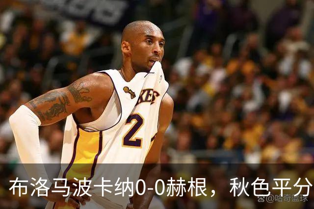 布洛马波卡纳0-0赫根，秋色平分