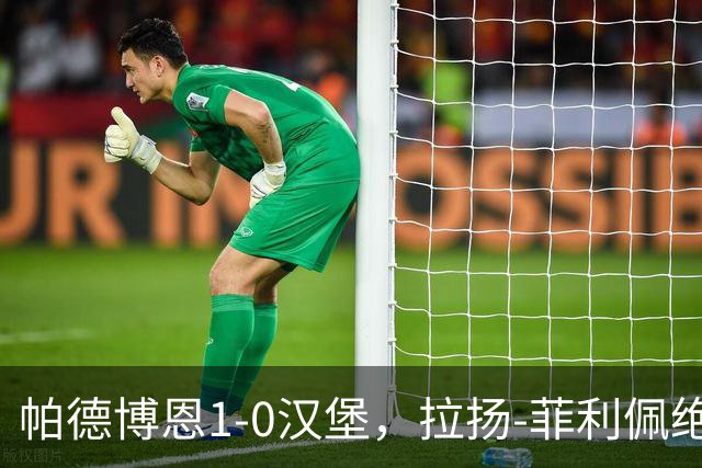 帕德博恩1-0汉堡，拉扬-菲利佩绝杀