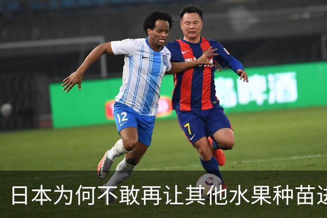 日本为何不敢再让其他水果种苗进入中国？别以为只是贸易摩擦。日本不愿放水果进中国，是因为被“偷家”偷怕了