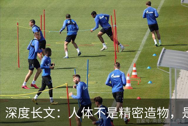 深度长文：人体不是精密造物，是进化盖了 5 亿年的“烂尾楼”！