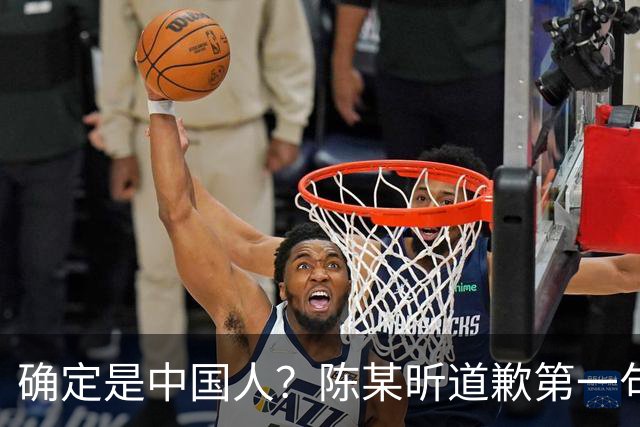 确定是中国人？陈某昕道歉第一句话就“露馅”了，央视公布新进展