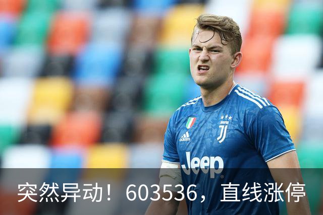突然异动！603536，直线涨停