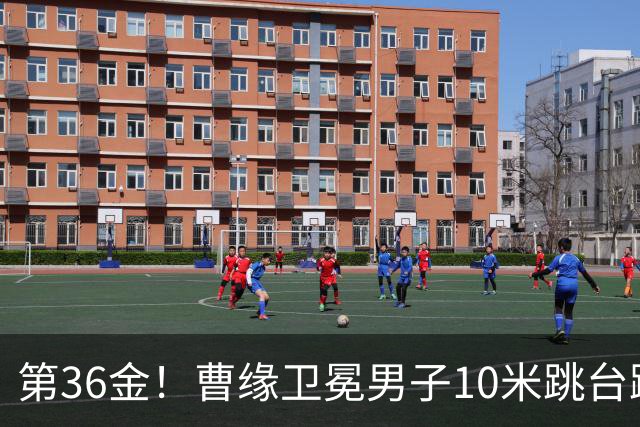 第36金！曹缘卫冕男子10米跳台跳水金牌