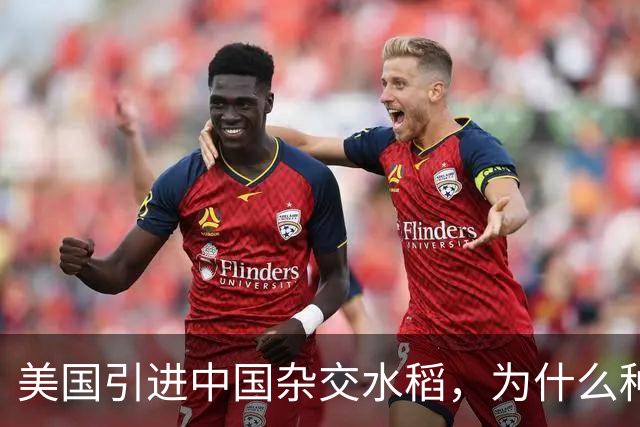 美国引进中国杂交水稻，为什么种出的亩产，反而比中国还要高？