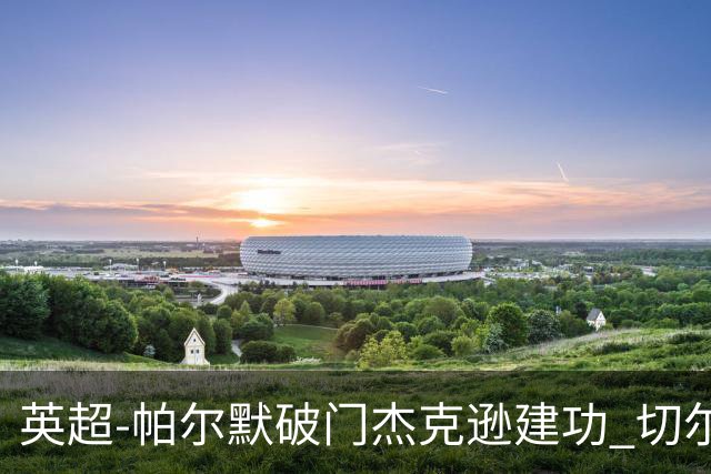 英超-帕尔默破门杰克逊建功 切尔西2-1纽卡斯尔