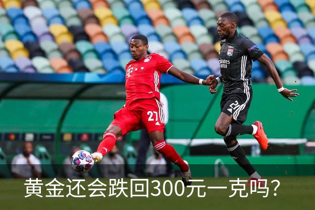 黄金还会跌回300元一克吗？