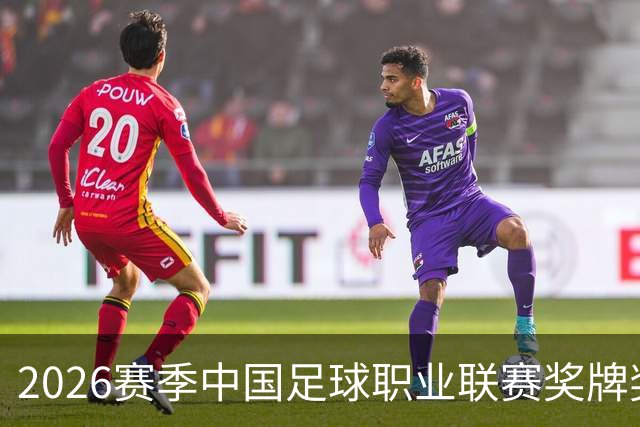 2026赛季中国足球职业联赛奖牌奖杯奖盘供应商征集-结果公告