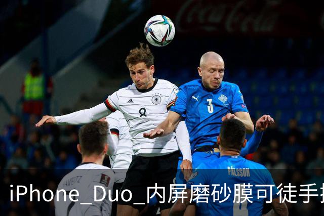 iPhone Duo 内屏磨砂膜可徒手撕下