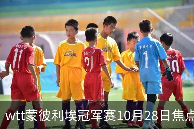 wtt蒙彼利埃冠军赛10月28日焦点赛程，27日28日新直播预告